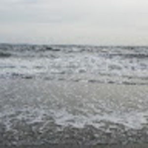 Meet your Posher, Tonya